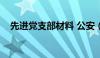 先进党支部材料 公安（先进党支部材料）