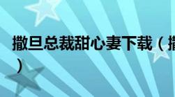 撒旦总裁甜心妻下载（撒旦总裁的甜心逃不掉）