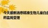 今天最新消息精准生物儿童白血病治疗产品上市申请获国家药监局受理