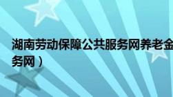 湖南劳动保障公共服务网养老金查询（湖南劳动保障公共服务网）