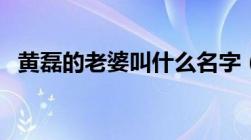 黄磊的老婆叫什么名字（黄磊的老婆是谁）