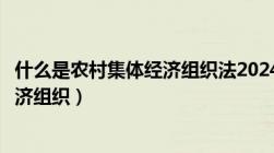 什么是农村集体经济组织法2024年实施（什么是农村集体经济组织）