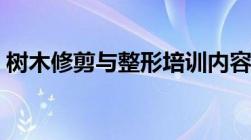 树木修剪与整形培训内容（树木修剪与整形）