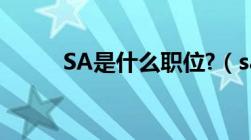 SA是什么职位?（sa是什么职位）