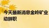 今天最新消息金岭矿业：董事长付博因工作变动辞职