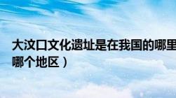 大汶口文化遗址是在我国的哪里（大汶口文化遗址在我国的哪个地区）