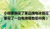 小明家购买了某品牌电冰箱花了1850元这1850元是（小明家买了一台电烤箱有低中高）