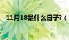 11月18是什么日子?（11 18是什么日子）