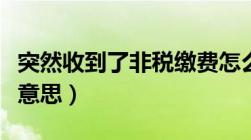 突然收到了非税缴费怎么办（非税收入是什么意思）