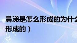 鼻涕是怎么形成的为什么流不完（鼻涕是怎么形成的）