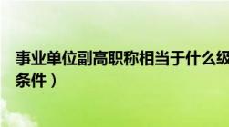 事业单位副高职称相当于什么级别（事业单位副高职称评定条件）