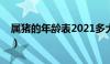 属猪的年龄表2021多大（属猪的年份及年龄）