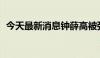 今天最新消息钟薛高被强制执行542万余元