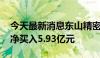 今天最新消息东山精密今日跌停 深股通席位净买入5.93亿元