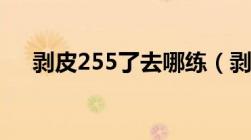 剥皮255了去哪练（剥皮225后去哪学）