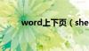 word上下页（sheet是什么意思）