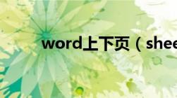 word上下页（sheet是什么意思）