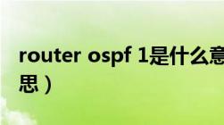 router ospf 1是什么意思（router是什么意思）