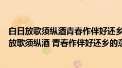 白日放歌须纵酒青春作伴好还乡的意思和表达的感情（白日放歌须纵酒 青春作伴好还乡的意思）