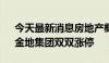 今天最新消息房地产概念异动拉升 世联行、金地集团双双涨停