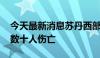 今天最新消息苏丹西部法希尔市遭炮击 造成数十人伤亡