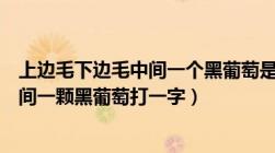 上边毛下边毛中间一个黑葡萄是什么生肖（上边毛下边毛中间一颗黑葡萄打一字）