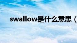 swallow是什么意思（SW是什么意思）