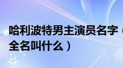 哈利波特男主演员名字（哈利波特男主角演员全名叫什么）