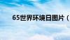 65世界环境日图片（6 5世界环境日）