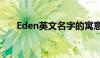 Eden英文名字的寓意（eden英文名）