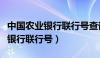 中国农业银行联行号查询系统官网（中国农业银行联行号）