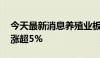 今天最新消息养殖业板块震荡走高 巨星农牧涨超5%