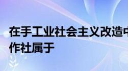 在手工业社会主义改造中建立的手工业供销合作社属于