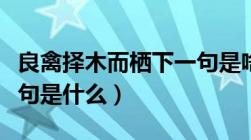 良禽择木而栖下一句是啥（良禽择木而栖下一句是什么）