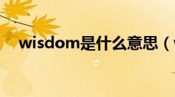 wisdom是什么意思（wise是什么意思）