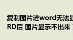 复制图片进word无法显示（复制图片进WORD后 图片显示不出来）