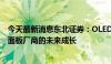 今天最新消息东北证券：OLED面板价格触底回升 看好中国面板厂商的未来成长