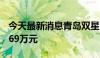 今天最新消息青岛双星：上半年净亏损5709.69万元