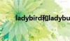 ladybird和ladybug（lady bird）