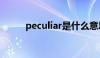 peculiar是什么意思（peculiar）