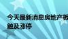 今天最新消息房地产板块震荡上行 金地集团触及涨停