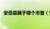 安岳县属于哪个市管（安岳县属于哪个市）