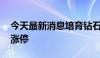 今天最新消息培育钻石概念股走强 黄河旋风涨停