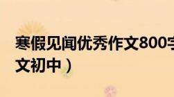 寒假见闻优秀作文800字（寒假见闻800字作文初中）