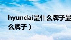 hyundai是什么牌子显示器（hyundai是什么牌子）