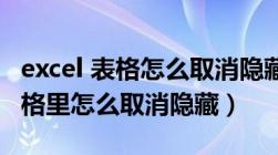 excel 表格怎么取消隐藏（我想问下EXCEL表格里怎么取消隐藏）