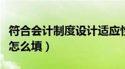 符合会计制度设计适应性原则（适用会计制度怎么填）