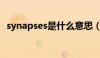 synapses是什么意思（synaptics是什么）