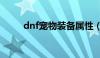 dnf宠物装备属性（dnf宠物装备）