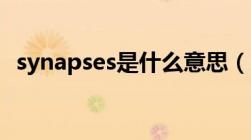 synapses是什么意思（synaptics是什么）